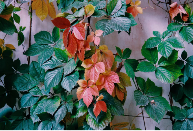 答应我，兰州交大这个新晋网红地一定要打卡