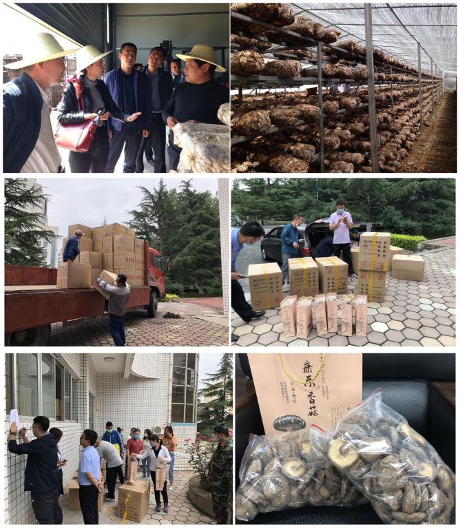 我校积极开展消费扶贫助力脱贫攻坚