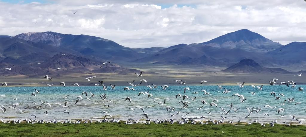 “感党恩，颂祖国”教职工书画摄影作品展闭幕