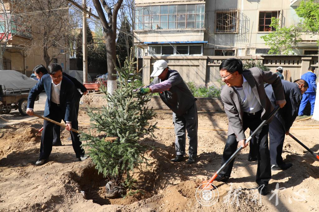 学校领导参加春季植树活动