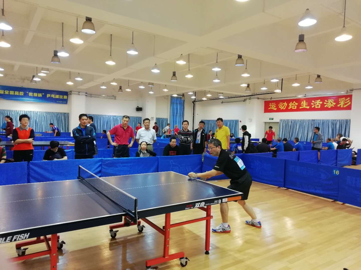 我校参加首届全国高校“教授杯”乒乓球赛获佳绩