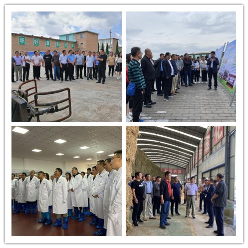 弘扬南梁革命精神  助推康乐乡村振兴