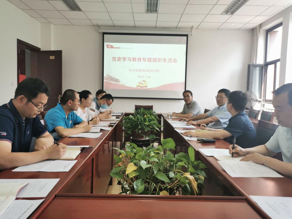 【党史学习教育】党委书记杨子江参加所在支部党史学习教育专题组织生活会