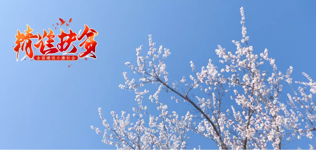 【精准扶贫】写在兰州交通大学驻村干部驻村工作一年之际